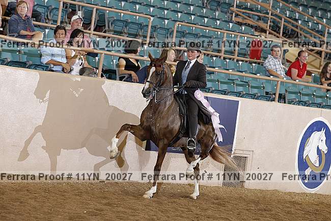 Proof 11yn_20027
