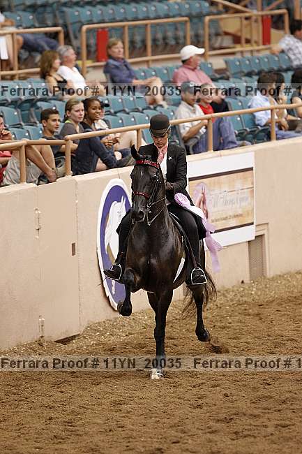 Proof 11yn_20035