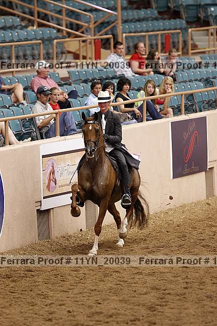 Proof 11yn_20039