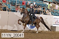 11yn_20041 proof