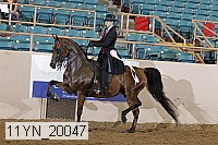 11yn_20047 proof