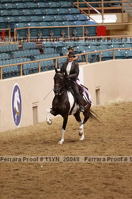 Proof 11yn_20048