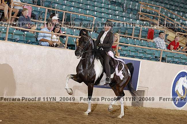 Proof 11yn_20049