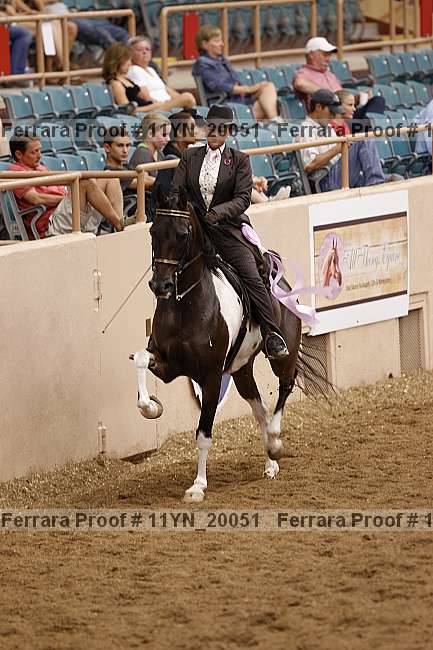 Proof 11yn_20051