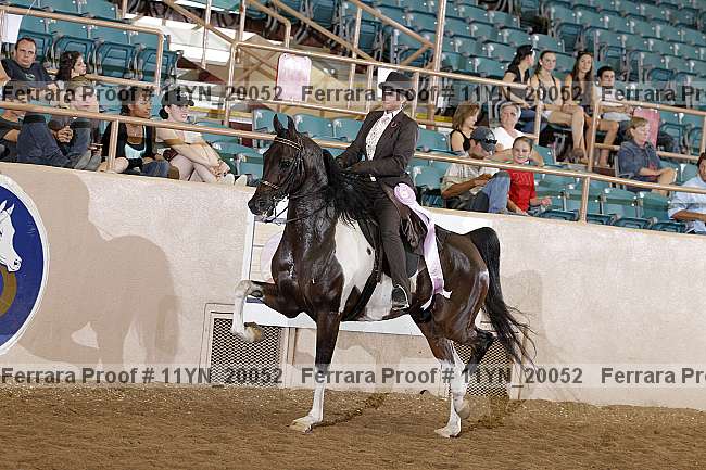 Proof 11yn_20052