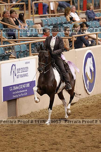 Proof 11yn_20053