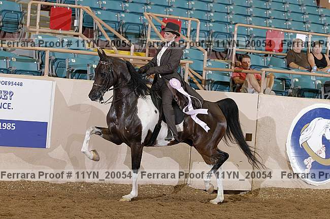 Proof 11yn_20054