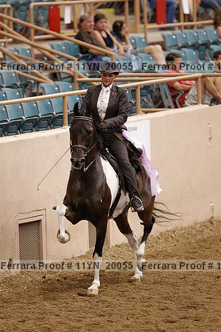 Proof 11yn_20055
