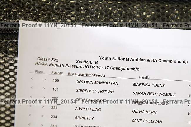 Proof 11yn_20154