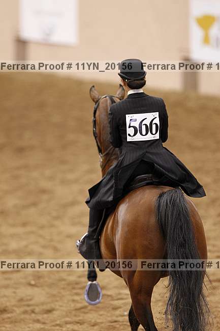 Proof 11yn_20156