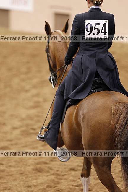 Proof 11yn_20158