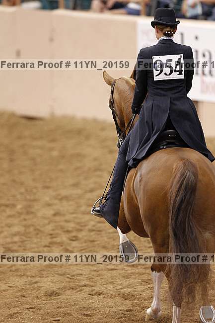 Proof 11yn_20159