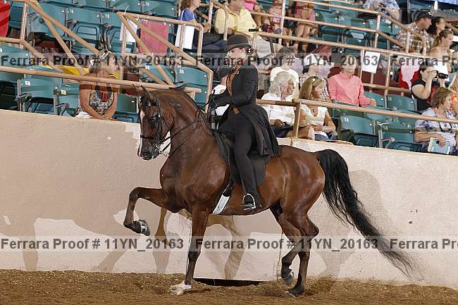 Proof 11yn_20163