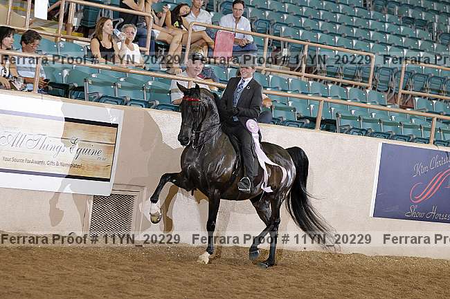 Proof 11yn_20229