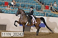 11yn_20242 proof