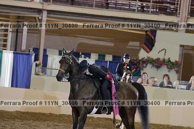 Proof 11yn_30400