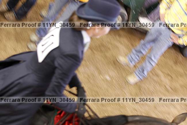 Proof 11yn_30459