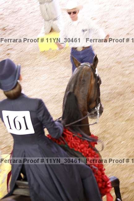 Proof 11yn_30461