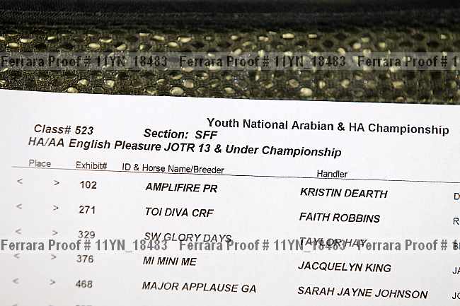 Proof 11yn_18483
