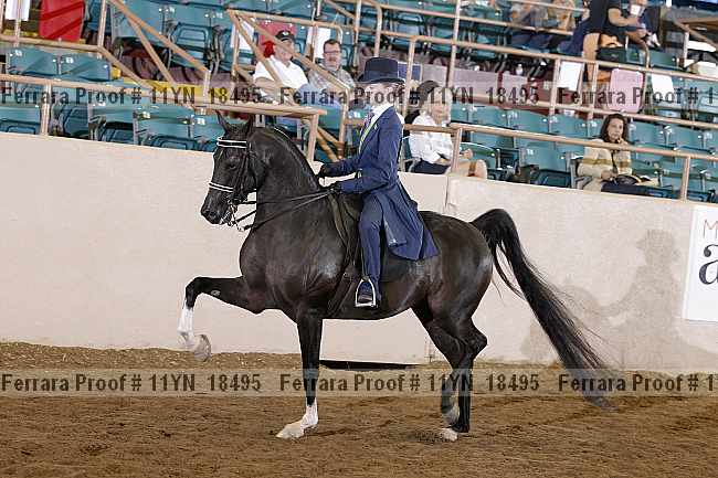 Proof 11yn_18495