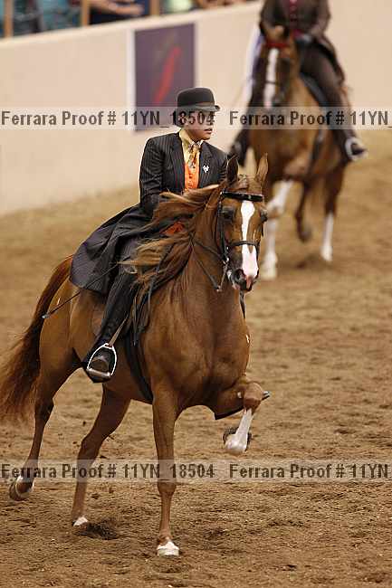 Proof 11yn_18504