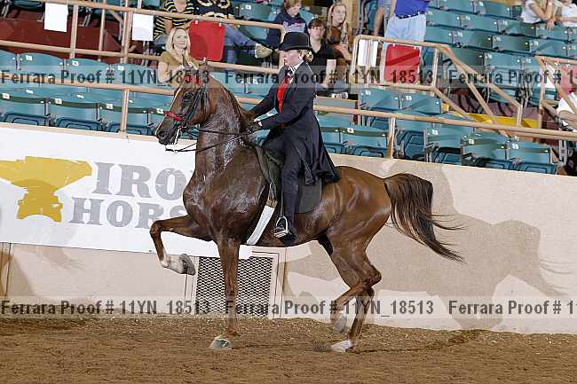 Proof 11yn_18513