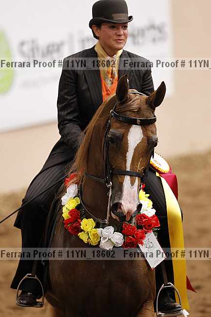 Proof 11yn_18602