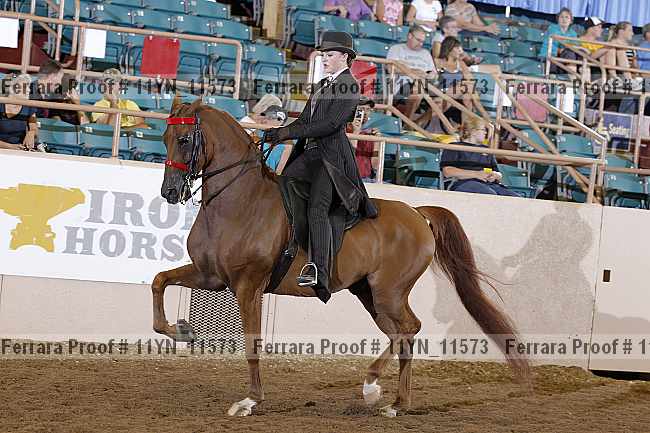 Proof 11yn_11573