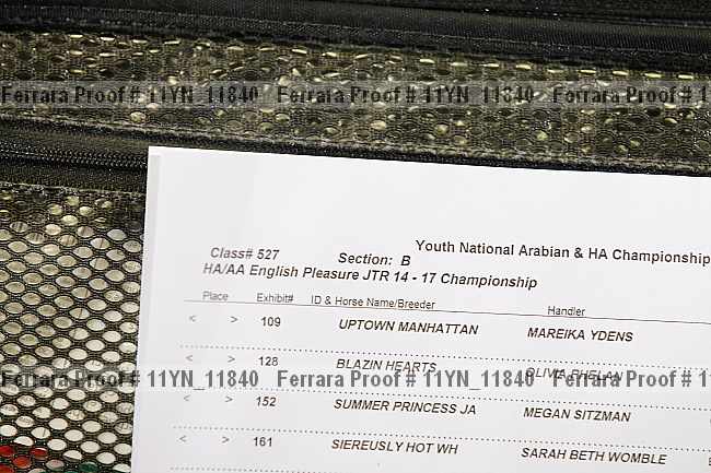 Proof 11yn_11840
