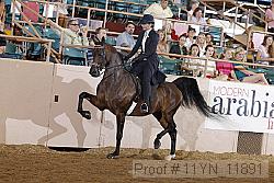 11yn_11891 proof