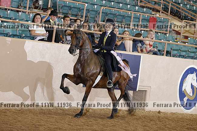 Proof 11yn_11936