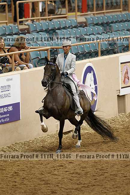 Proof 11yn_11946