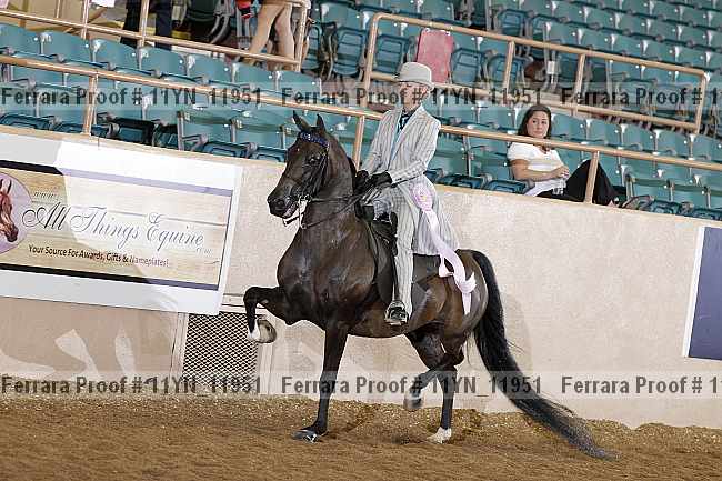 Proof 11yn_11951