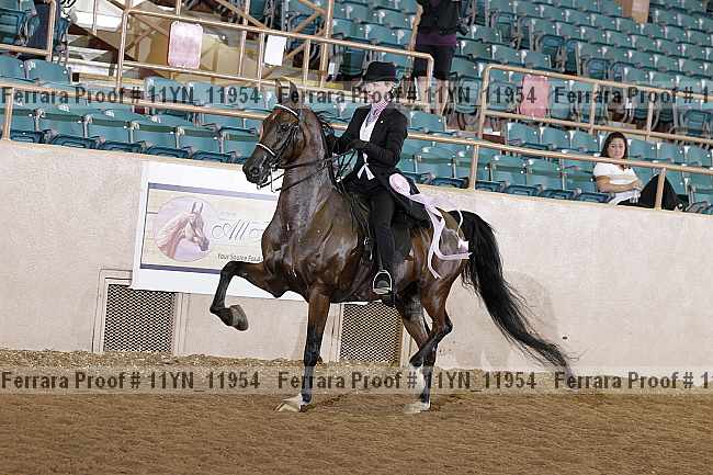 Proof 11yn_11954
