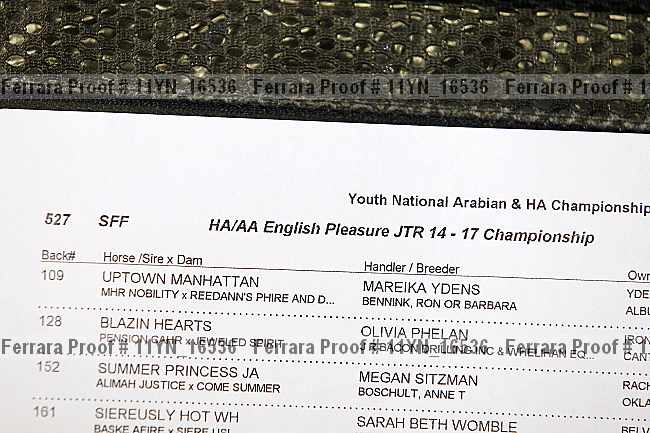 Proof 11yn_16536