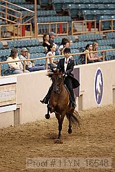 11yn_16548 proof