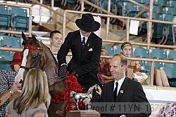 11yn_16702 proof