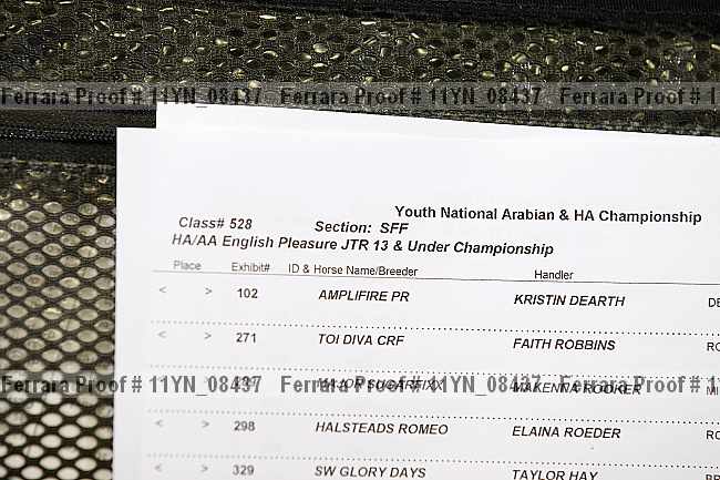 Proof 11yn_08437