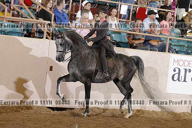 Proof 11yn_08448