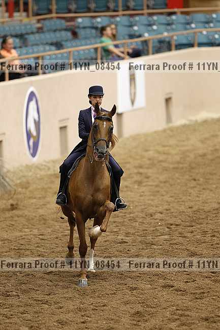 Proof 11yn_08454