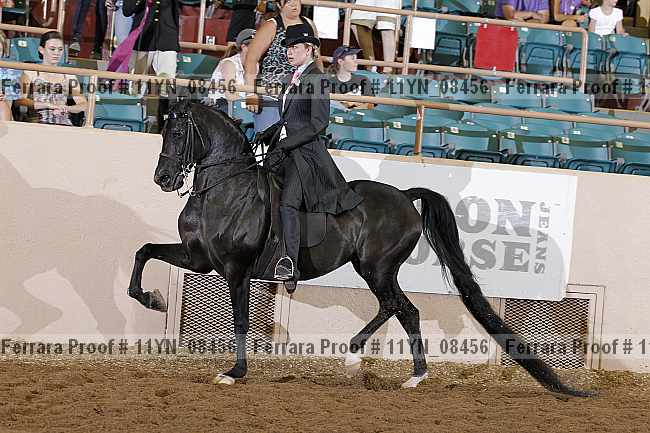 Proof 11yn_08456