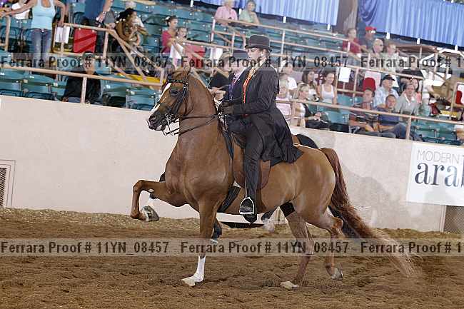 Proof 11yn_08457