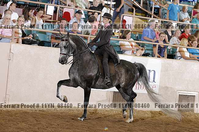 Proof 11yn_08460