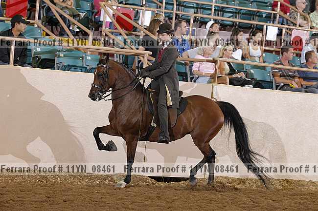 Proof 11yn_08461