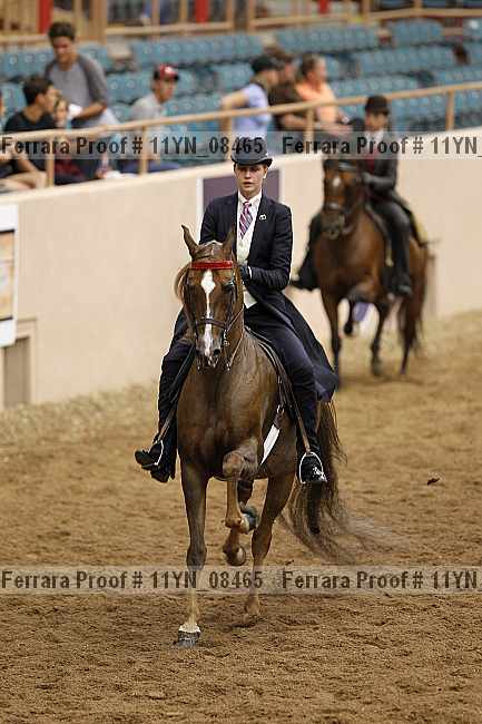 Proof 11yn_08465