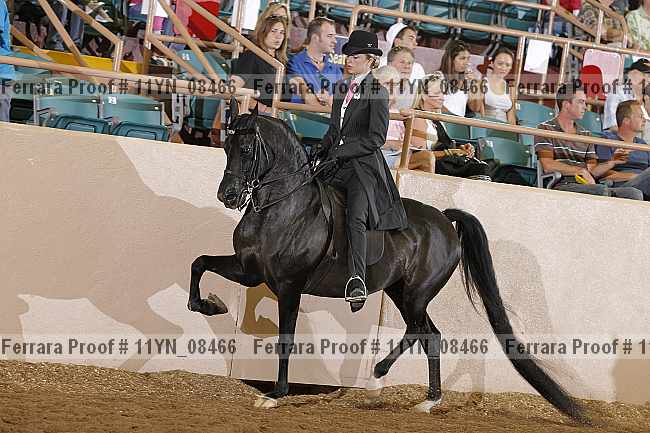 Proof 11yn_08466