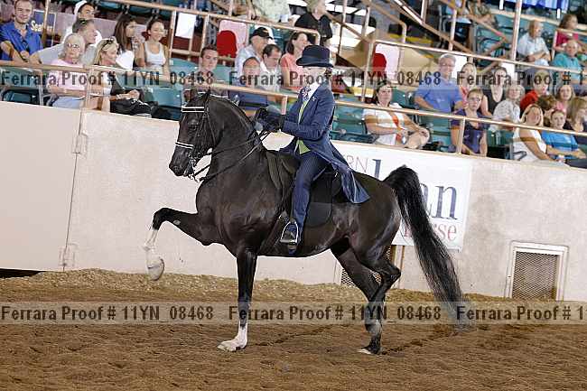 Proof 11yn_08468