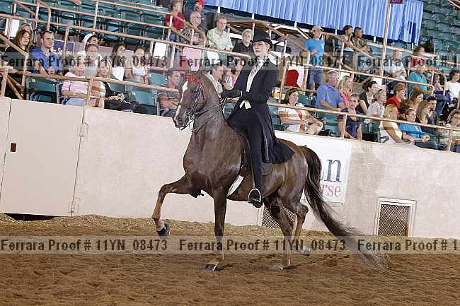 Proof 11yn_08473