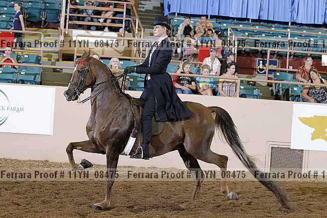 Proof 11yn_08475
