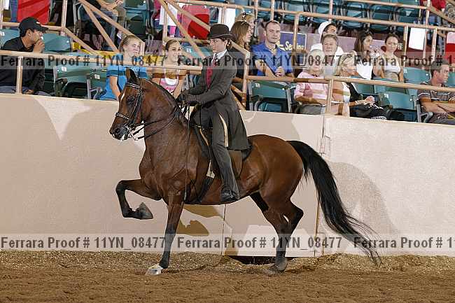 Proof 11yn_08477